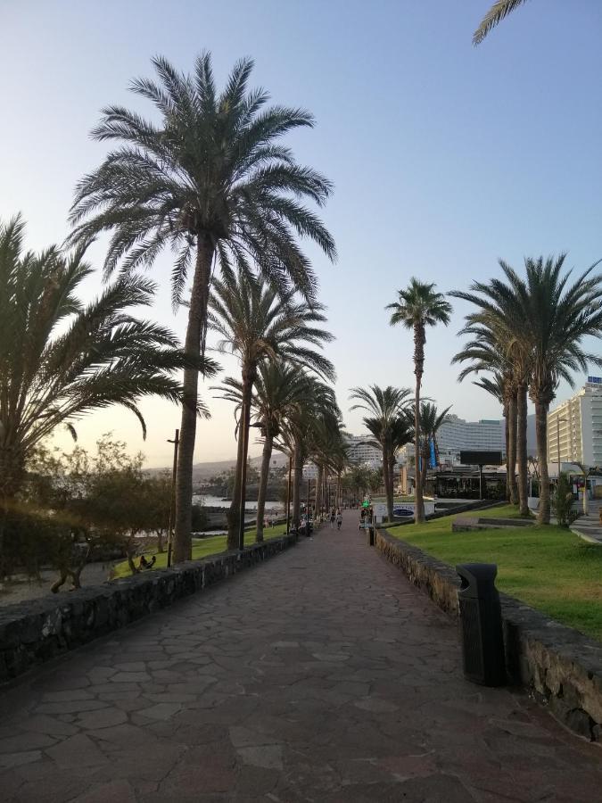 Сozy Apartment In Las Americas Playa Feñabe 외부 사진